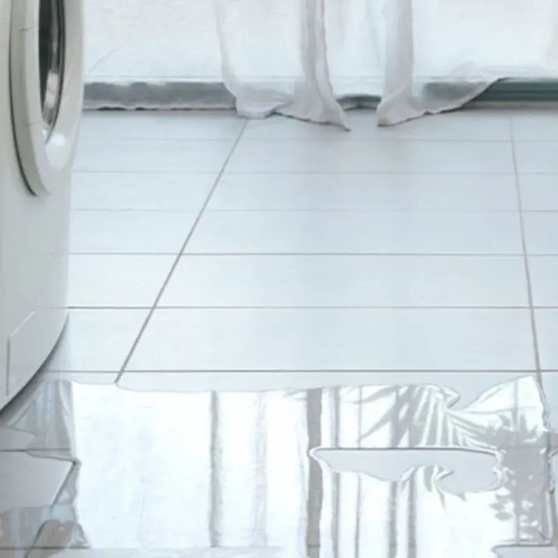 Appliance Leak Cleanup in Lexington, OH