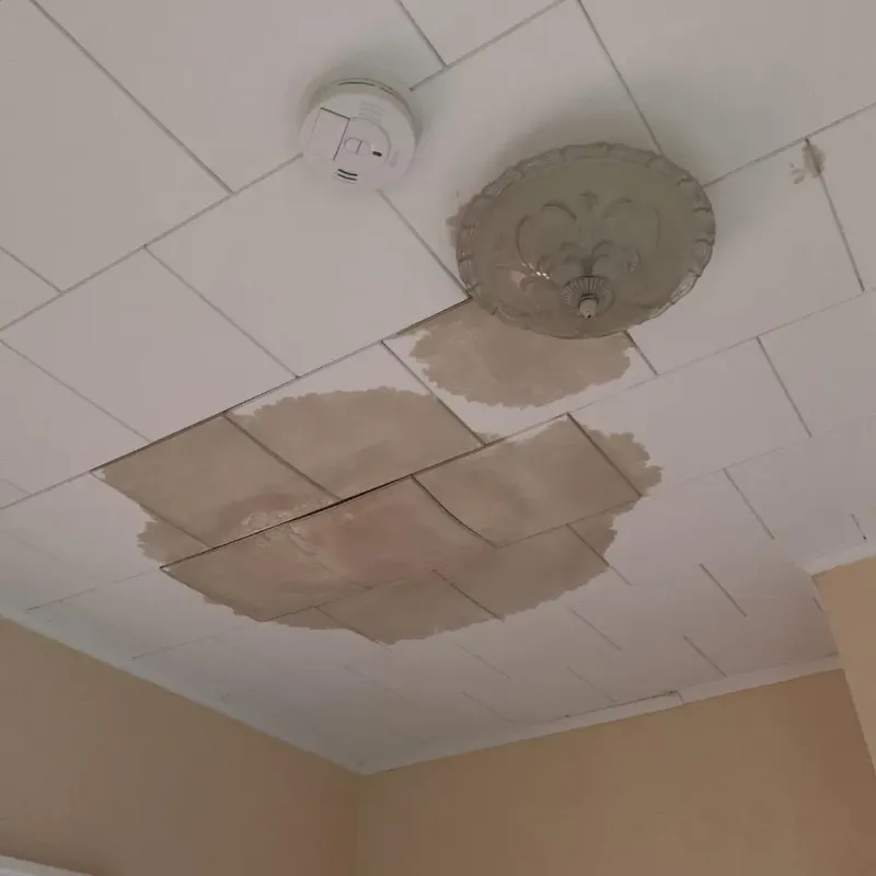 Ceiling Water Damage Repair in Lexington, OH