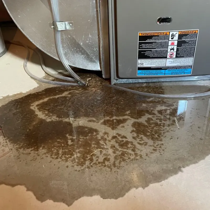 Pipe Burst and Leak Restoration in Lexington, OH