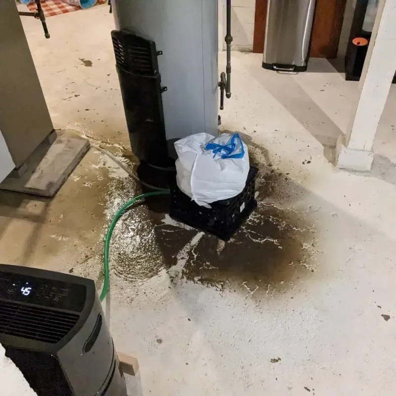 Sewage Backup Cleanup Service in Lexington, OH